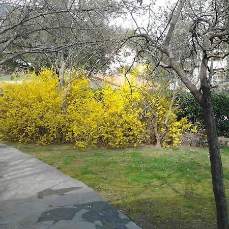 Corte Apparemment T3 En Residence Privee Εξωτερικό φωτογραφία