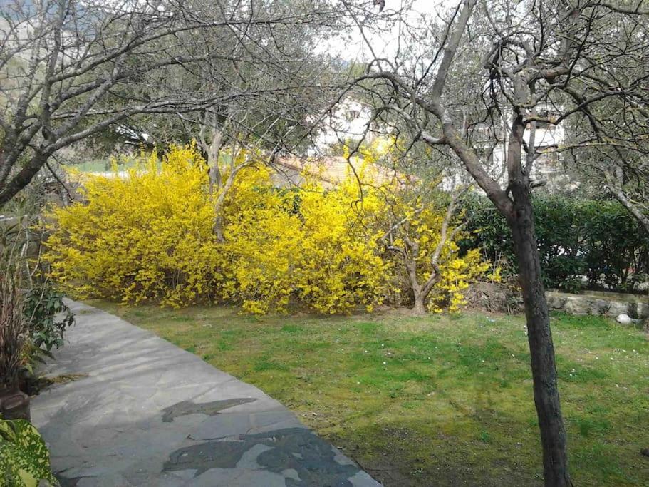 Corte Apparemment T3 En Residence Privee Εξωτερικό φωτογραφία
